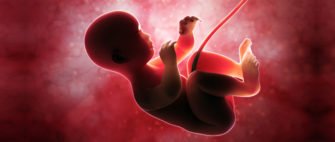 EL FUNDAMENTO ULTIMO DEL RECHAZO AL ABORTO