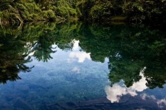 Ecologismo, cuarentena, consecuencias y contaminación