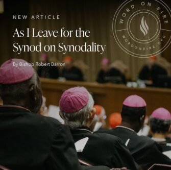bishop Robert Barron – As I Leave for the Synod on Synodality